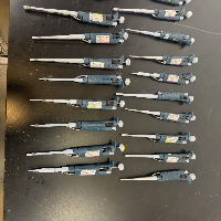 Gilson Pipetman Single Channel Pipettes - Quantity 22 image 1